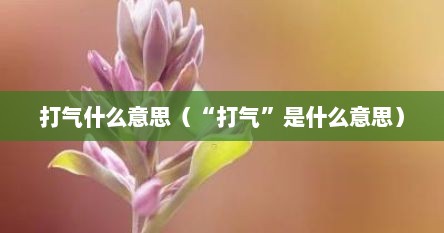 打气什么意思（“打气”是什么意思）