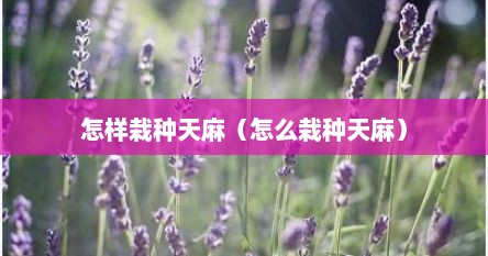 怎样栽种天麻（怎么栽种天麻）