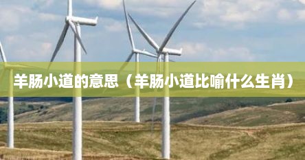 羊肠小道的意思（羊肠小道比喻什么生肖）