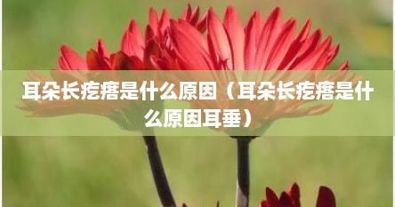 耳朵长疙瘩是什么原因（耳朵长疙瘩是什么原因耳垂）