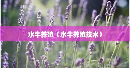 水牛养殖（水牛养殖技术）