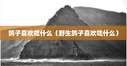 鸽子喜欢吃什么（野生鸽子喜欢吃什么）