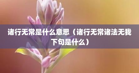 诸行无常是什么意思（诸行无常诸法无我下句是什么）