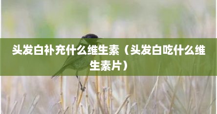 头发白补充什么维生素（头发白吃什么维生素片）