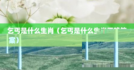 乞丐是什么生肖（乞丐是什么生肖正确答案）
