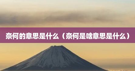 奈何的意思是什么（奈何是啥意思是什么）