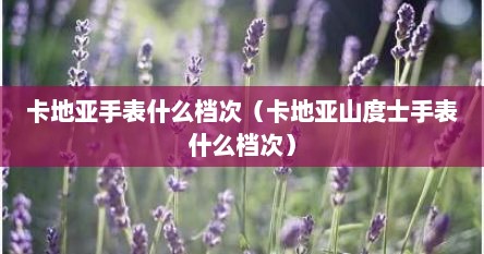 卡地亚手表什么档次（卡地亚山度士手表什么档次）