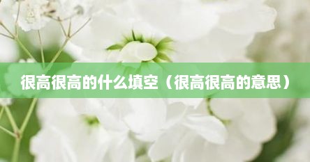 很高很高的什么填空（很高很高的意思）