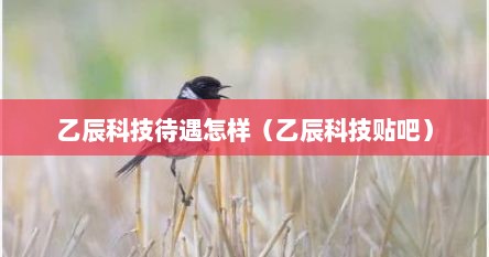 乙辰科技待遇怎样（乙辰科技贴吧）