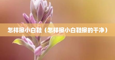 怎样擦小白鞋（怎样擦小白鞋擦的干净）