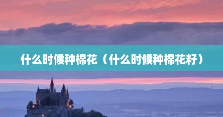 什么时候种棉花（什么时候种棉花籽）