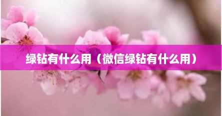 绿钻有什么用（微信绿钻有什么用）