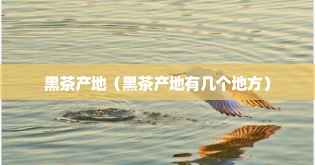 黑茶产地（黑茶产地有几个地方）