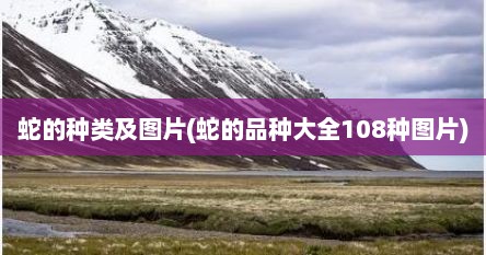 蛇的种类及图片(蛇的品种大全108种图片)
