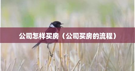 公司怎样买房（公司买房的流程）