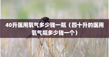 40升医用氧气多少钱一瓶（四十升的医用氧气瓶多少钱一个）
