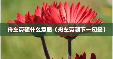 舟车劳顿什么意思（舟车劳顿下一句是）