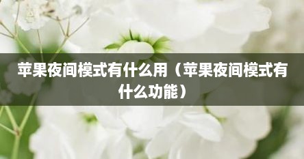 苹果夜间模式有什么用（苹果夜间模式有什么功能）