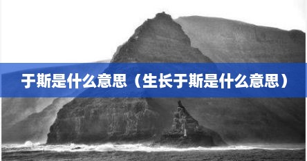 于斯的含义是什么意思（于斯为盛的意思和含义）
