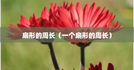 扇形的周长（一个扇形的周长）