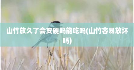 山竹放久了会变硬吗能吃吗(山竹容易放坏吗)