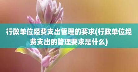 行政单位经费支出管理的要求(行政单位经费支出的管理要求是什么)