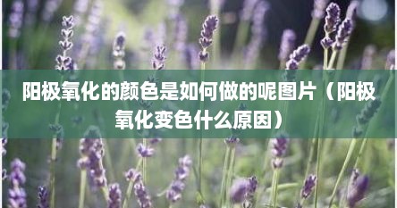 阳极氧化的颜色是如何做的呢图片（阳极氧化变色什么原因）