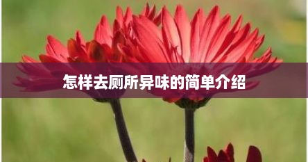怎样去厕所异味的简单介绍