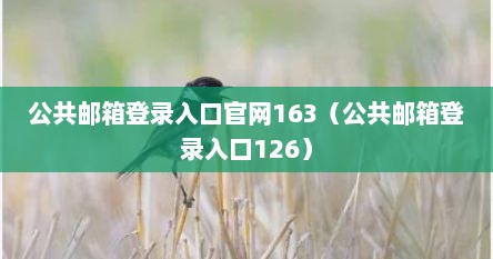 公共邮箱登录入口官网163（公共邮箱登录入口126）