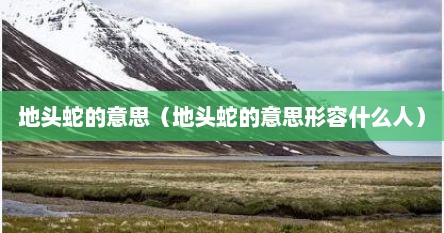 地头蛇的意思（地头蛇的意思形容什么人）