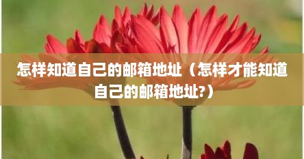 怎样知道自己的邮箱地址（怎样才能知道自己的邮箱地址?）