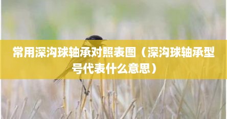 深沟球轴承型号含义（深沟球轴承尺寸及主要性能参数）