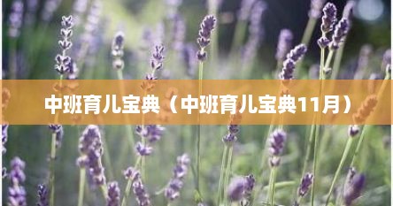 中班育儿宝典（中班育儿宝典11月）
