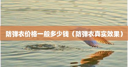 防弹衣价格一般多少钱（防弹衣真实效果）