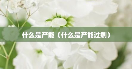 什么叫产能(产能过剩什么意思?) 什么叫产能(产能过剩什么意思?)