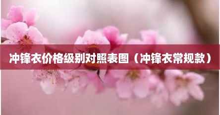冲锋衣价格级别对照表图（冲锋衣常规款）