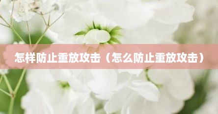 怎样防止重放攻击（怎么防止重放攻击）