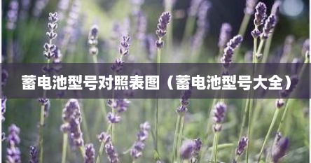 瓦尔塔蓄电池型号与车型对照表（蓄电池型号对照表大全）
