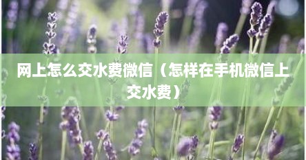网上怎么交水费微信（怎样在手机微信上交水费）