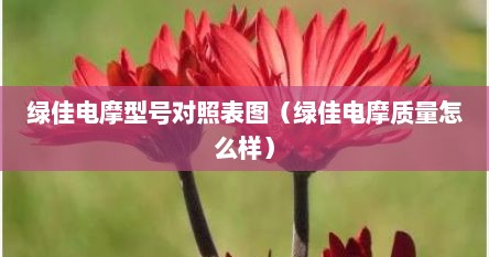绿佳电摩型号对照表图（绿佳电摩质量怎么样）