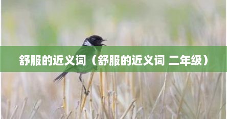 舒服的近义词（舒服的近义词 二年级）