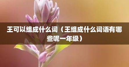 王可以组成什么词(王组成什么词语有哪些呢一年级)