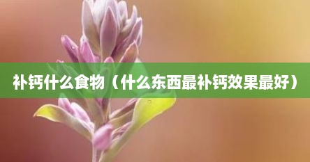 补钙什么食物（什么东西最补钙效果最好）