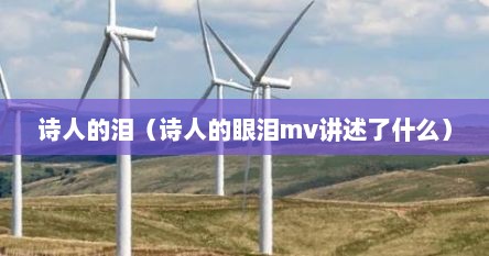 诗人的泪（诗人的眼泪mv讲述了什么）