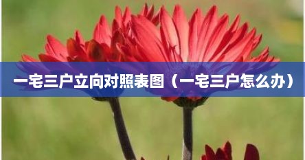 一宅三户立向对照表图（一宅三户怎么办）