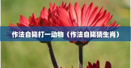 作法自毙打一动物（作法自毙猜生肖）