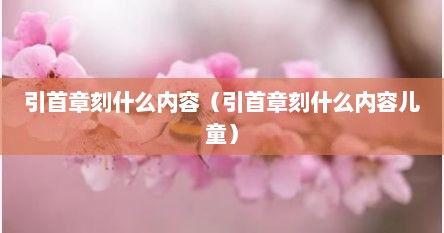 引首章刻什么内容（引首章刻什么内容儿童）