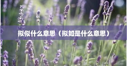 拟似什么意思（拟如是什么意思）