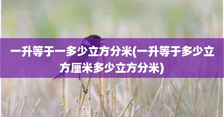 一升等于一多少立方分米(一升等于多少立方厘米多少立方分米)
