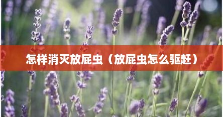 怎样消灭放屁虫（放屁虫怎么驱赶）